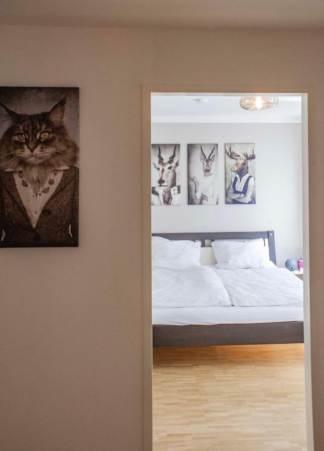 Neue Juventia Appartement